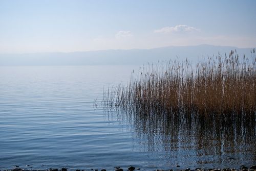 Koycegiz Delta Beach: Lakeshore, Facilities and Safety
